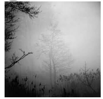 Dim mist